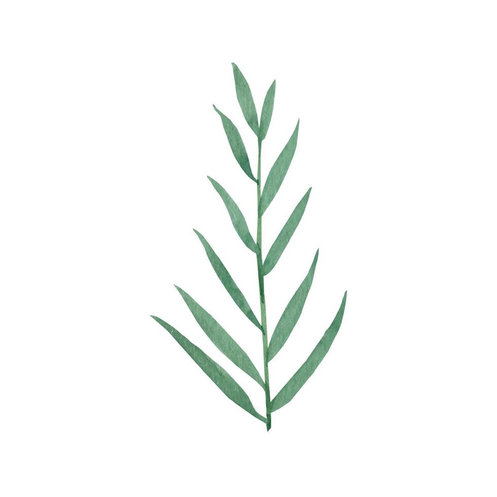 Cute hand drawn forest leaves on branch. Watercolor illustration leaves vector