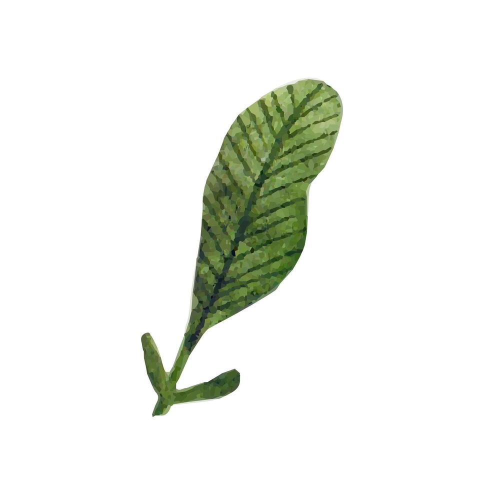 Cute hand drawn green leaf. Watercolor illustration leaves vector
