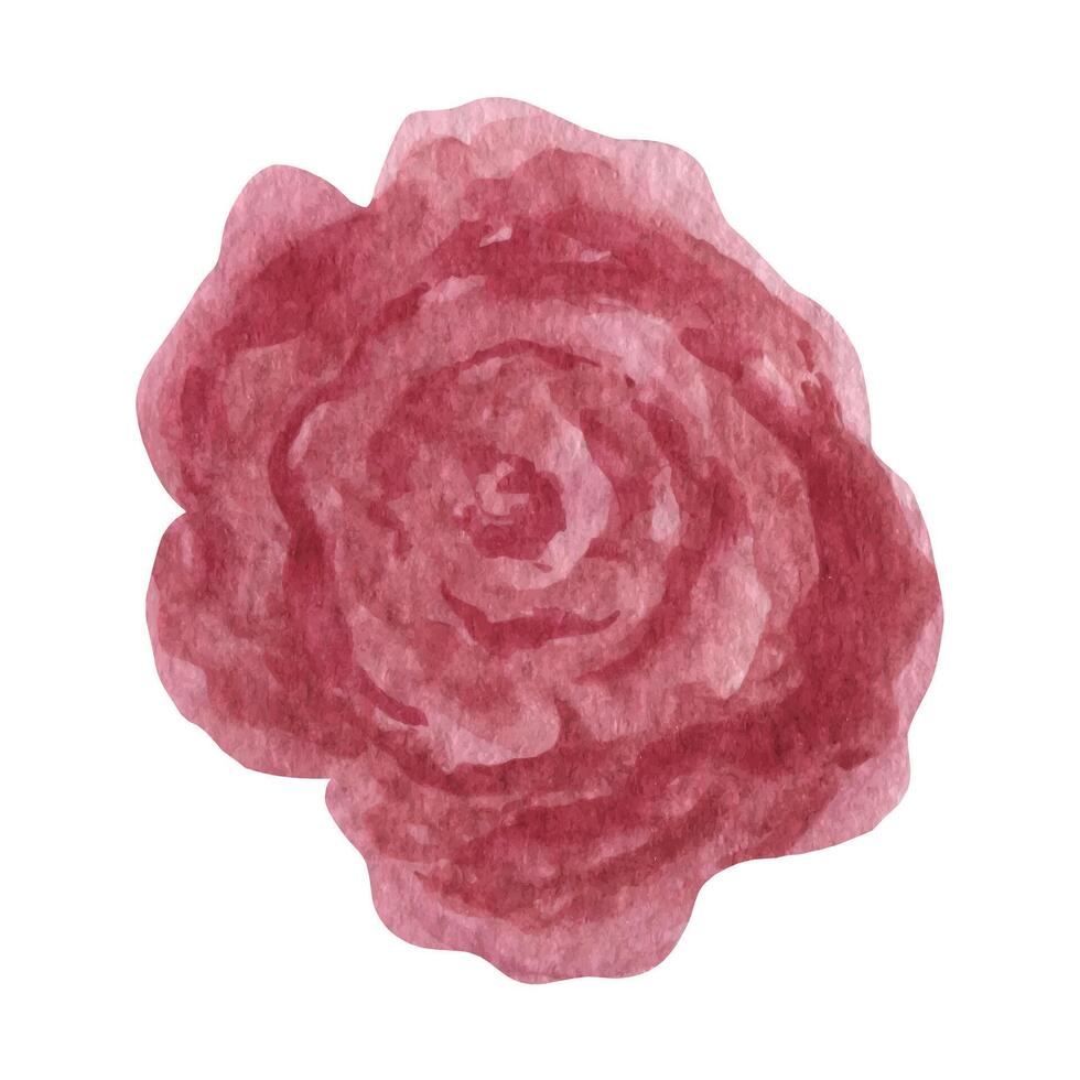 suelto acuarela rosas, boho clipart flores floral Boda ilustración vector