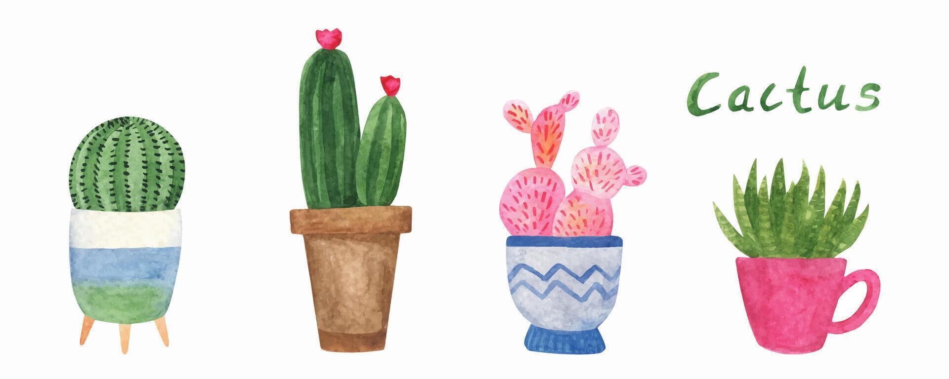 Set of cute hand drawn watercolor cactus pots. Illustrations house plant for wedding design, logo, greeting card or seasonal design. Isolated on white background. vector