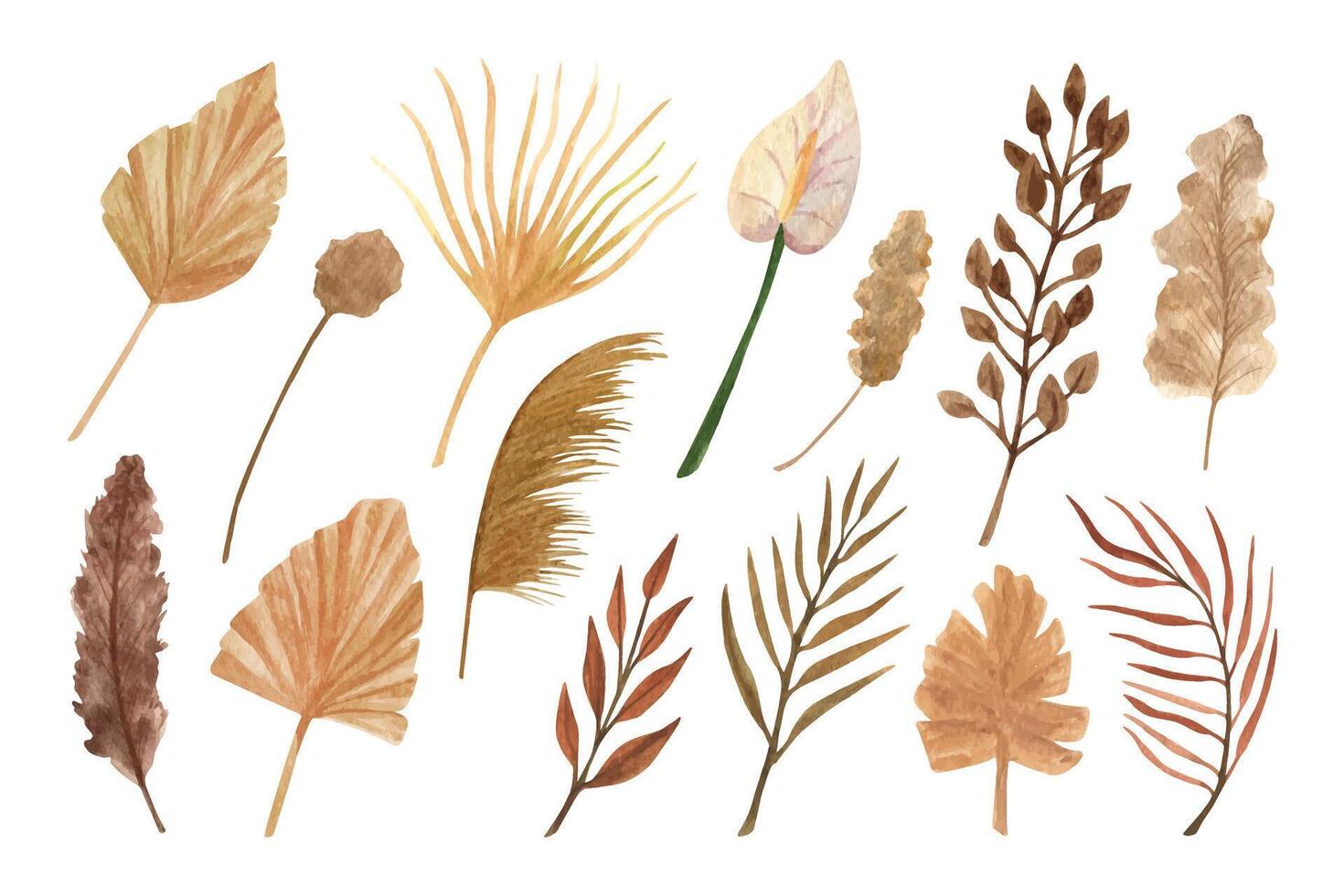 Boho dried flowers set. Boho wedding bouquet. Hand drawn watercolor clipart with earthy colors vector