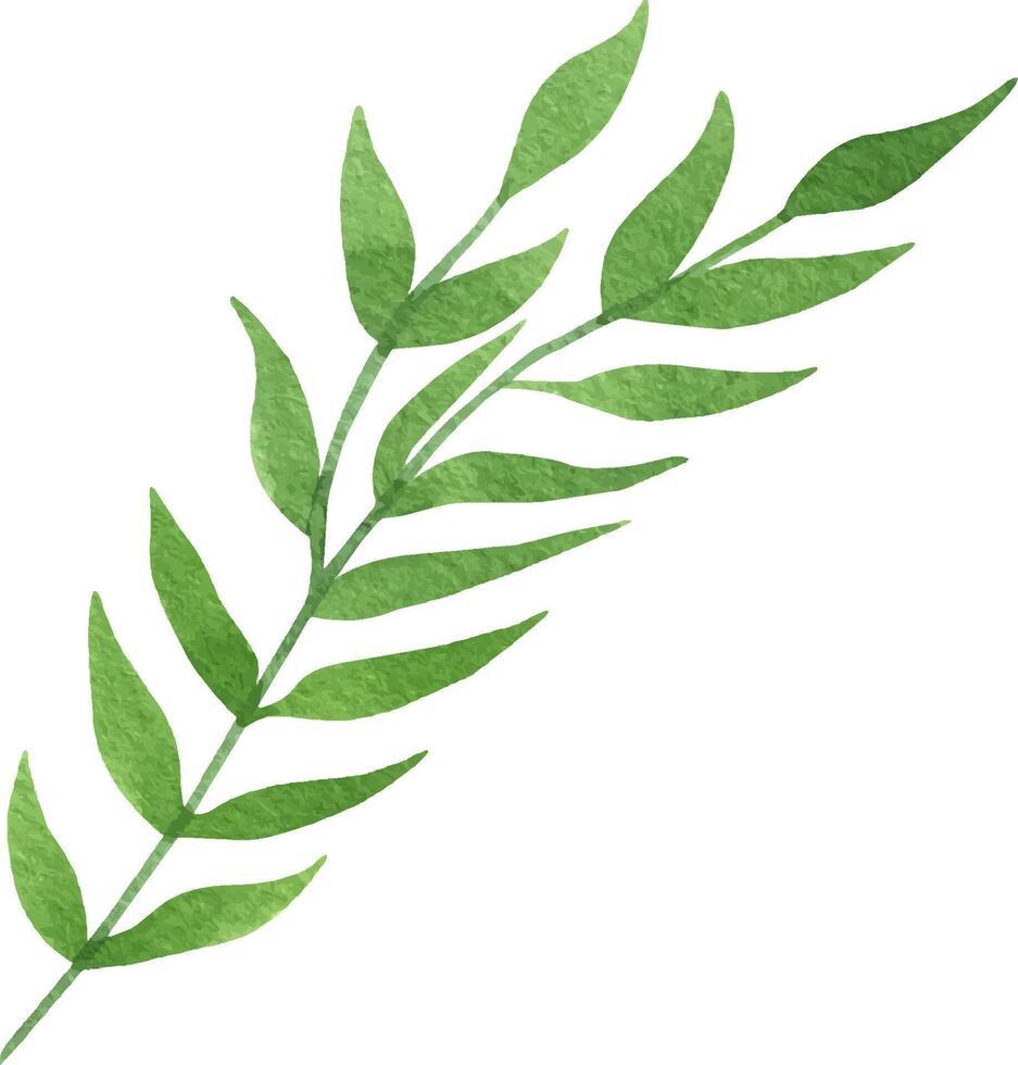 Cute hand drawn green branch of leaves. vector