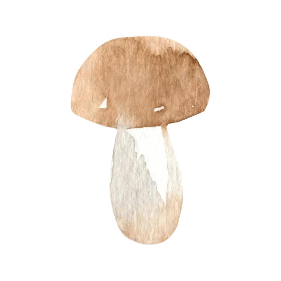 Cute autumn watercolor mushroom. Seasonal fall clipart vector