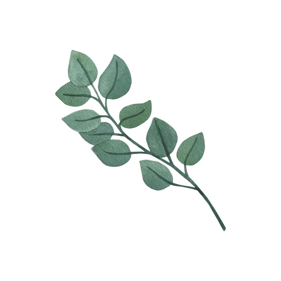 Round eucalyptus clipart for wedding invitations vector