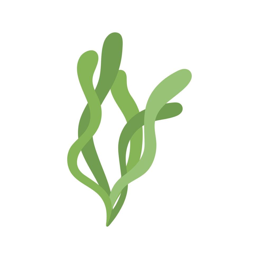Tropical seaweed. Hand drawn vector illustration for travel design.