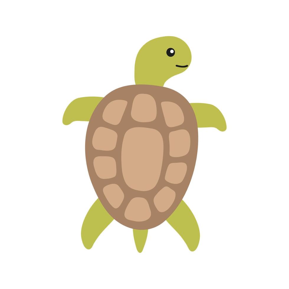 Vector colorful turtle. Hand drawn illustration for travel design.