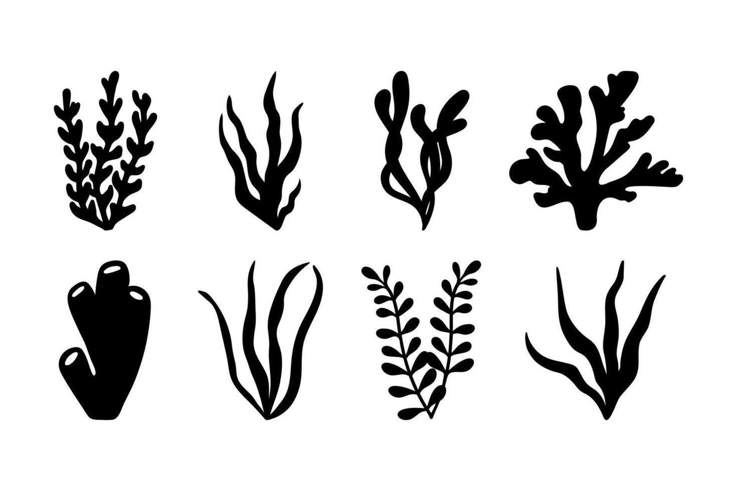 Vector sea collection corals. Hand drawn doodle illustrations.