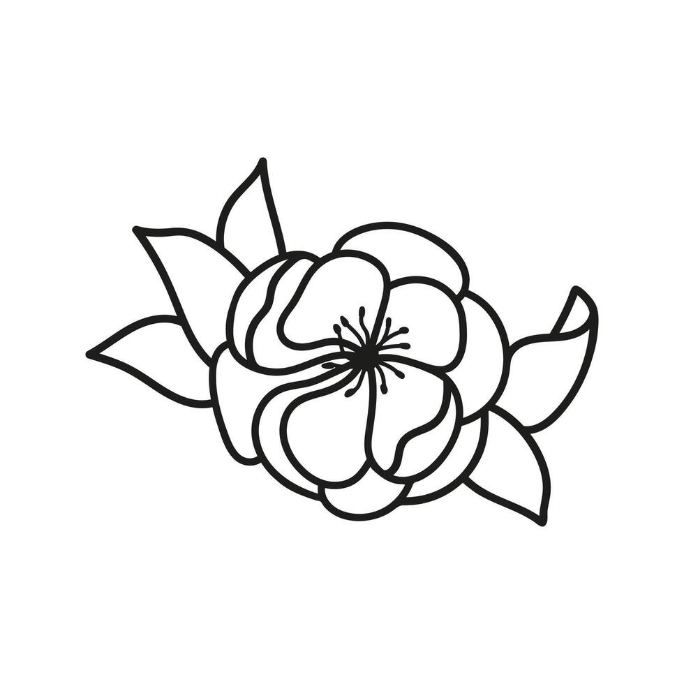 Hand drawn vector flowers potentilla with foliage