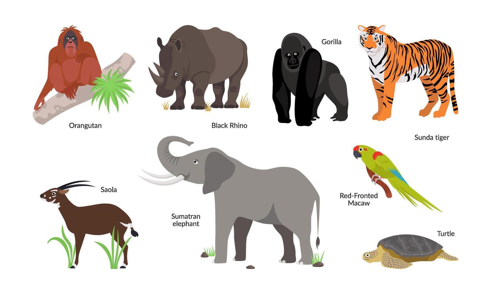 conjunto de en peligro de extinción animal especies de el mundo. tigre, negro rinoceronte, saola, orangután y otros. vector plano ilustración