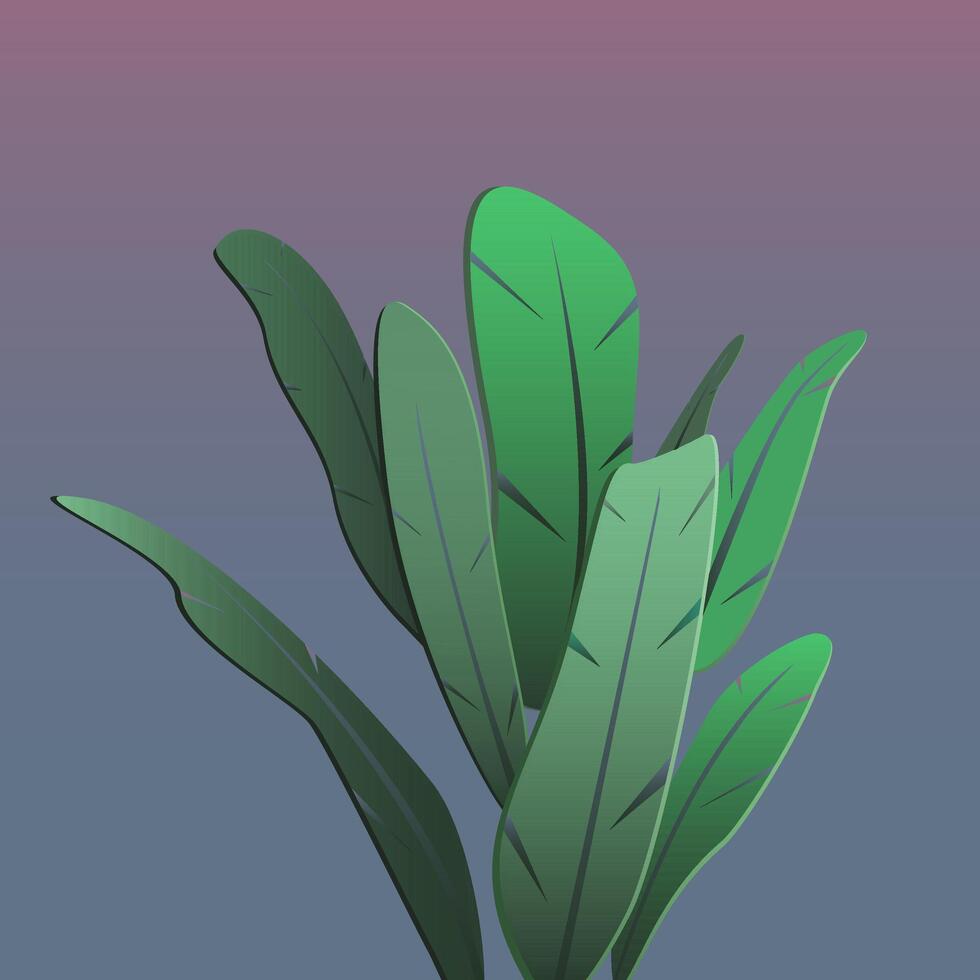 Vector illustration of a tropical plant.