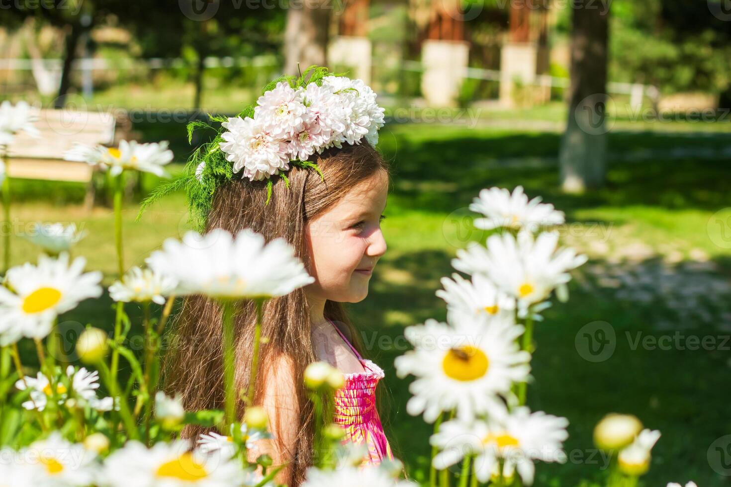 bonito pequeño niña en el naturaleza, niña en verano foto