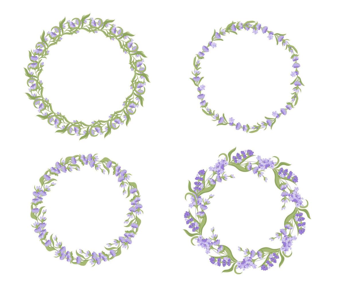 Set of wreaths made of lavender flowers. Vector illustration isolated on white background.