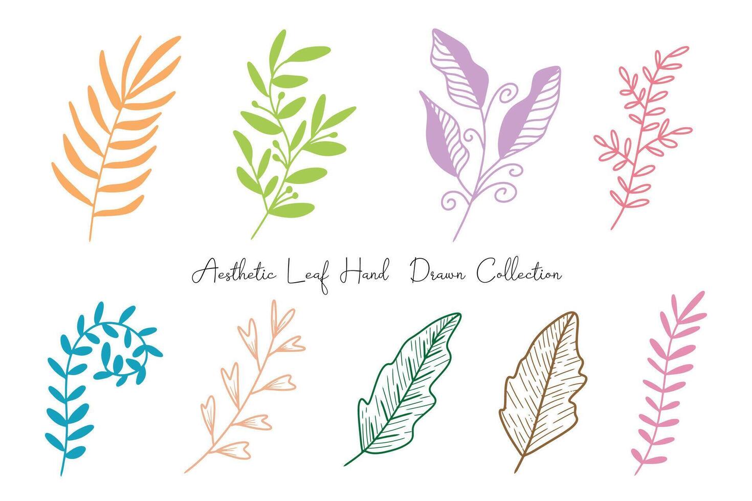 Aesthetic Leaf Line Drawing Collection vector