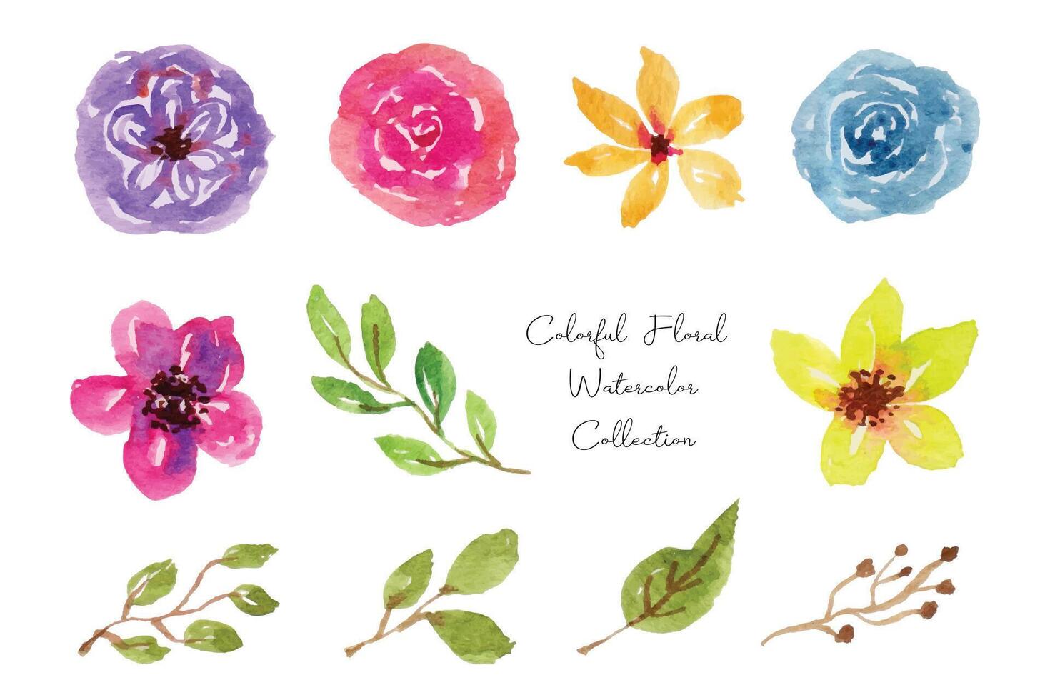 Colorful Flower and Leaf Watercolor Collection vector