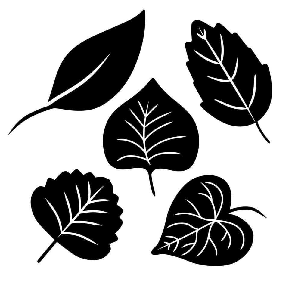 Set of leaves silhouettes isolated on white background Vector Illustration