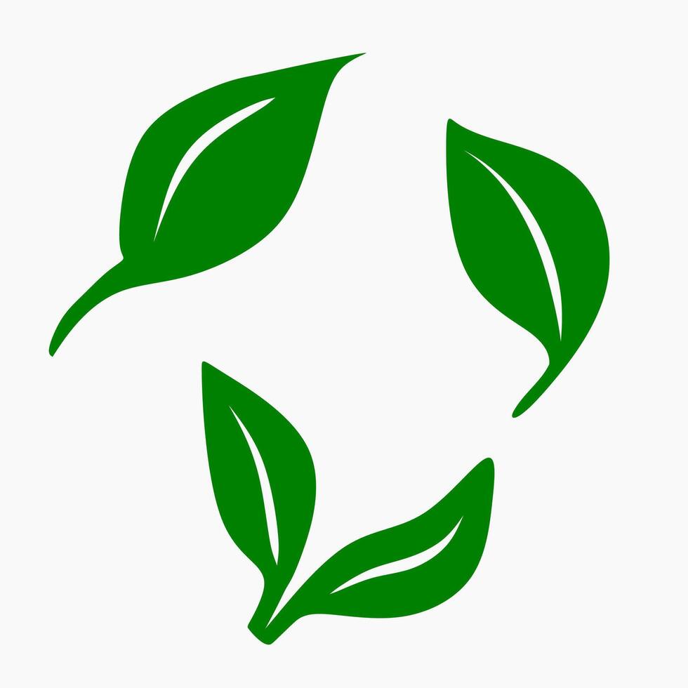 Tres verde hojas vector ilustración en blanco antecedentes
