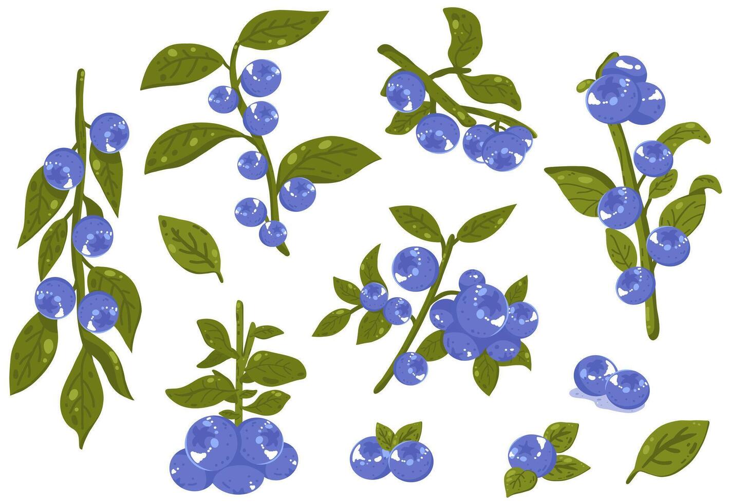 Set of blueberry branch illustration vector