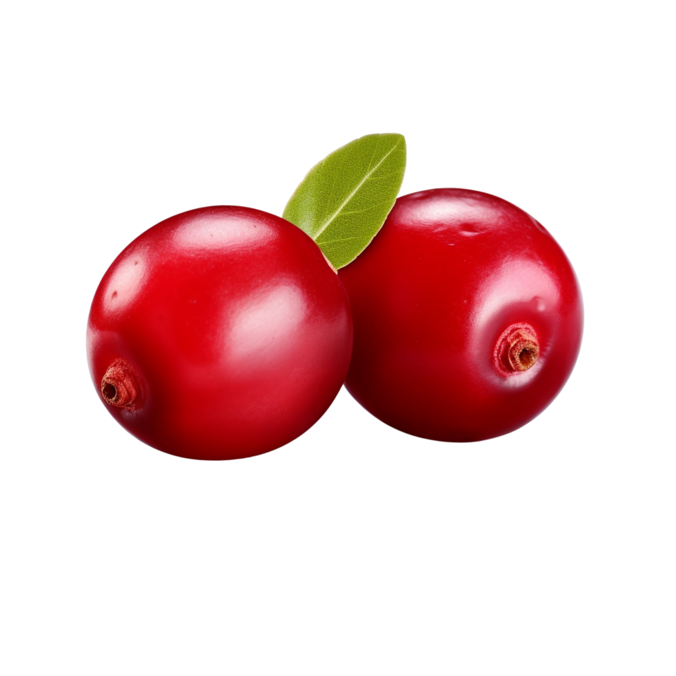AI generated Cranberry clip art png