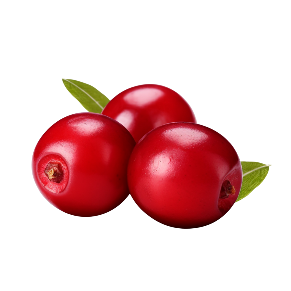 AI generated Cranberry clip art png