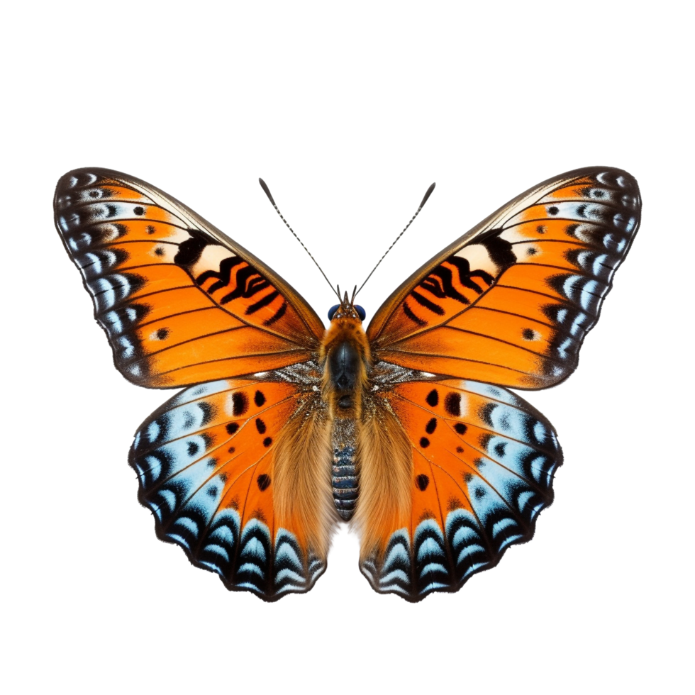 ai generado mariposa acortar Arte png