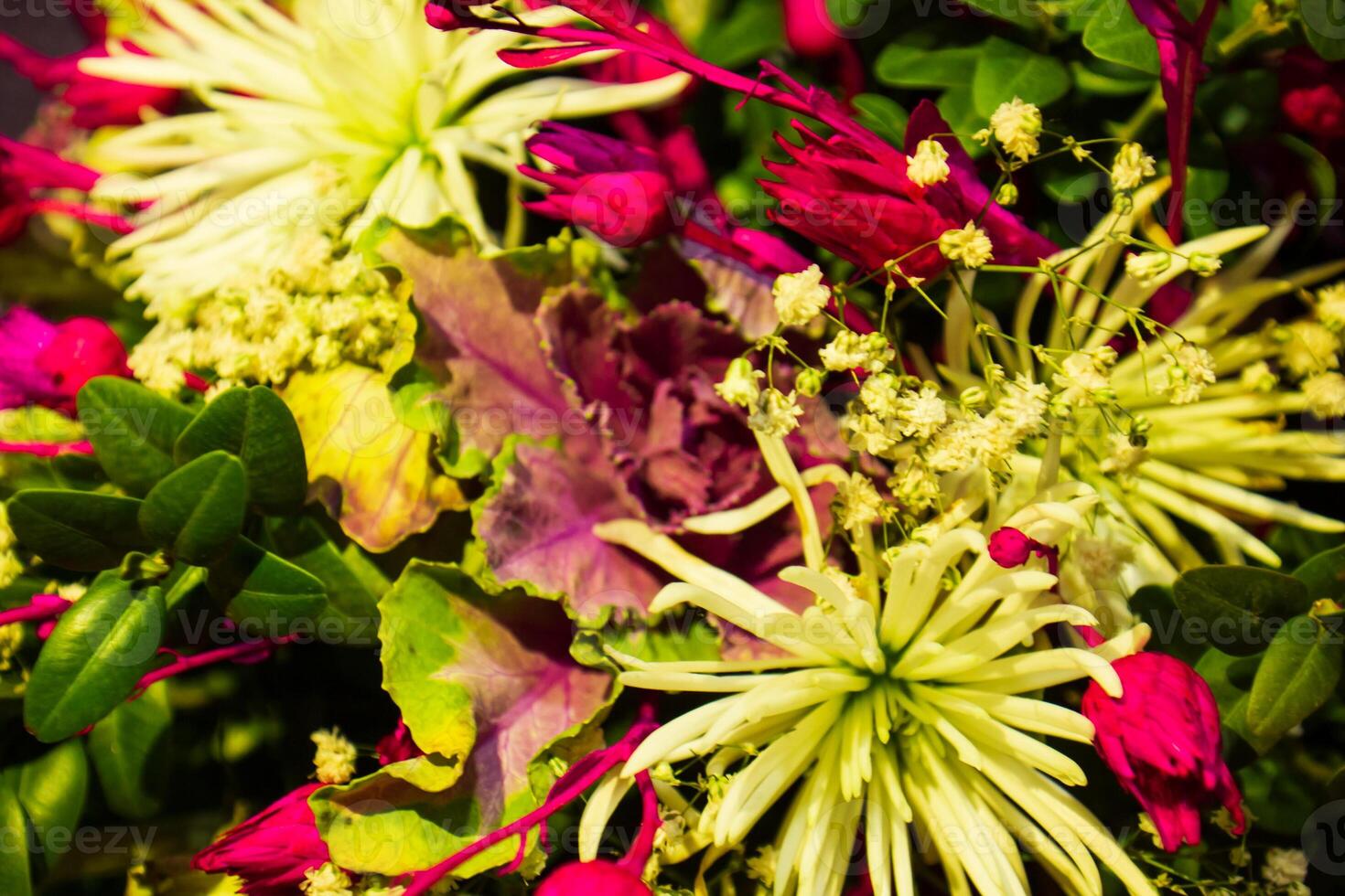 bouquet of nice colorful flowers in the garden photo