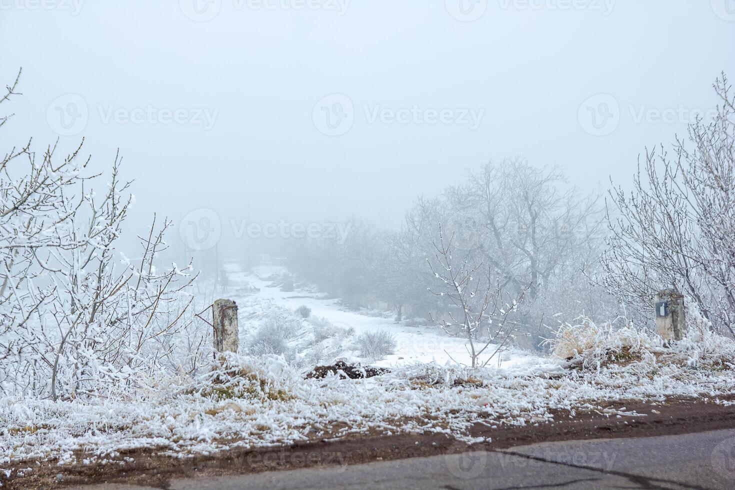 foggy landscape with snow, snow covered trees, cold winter scenery photo