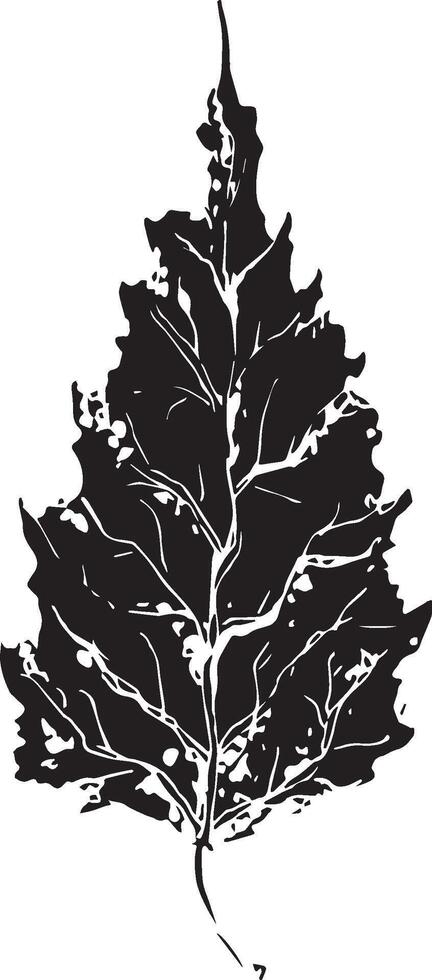 Sketch drawing of a birch leaf in black and white outline. Vintage combination of birch leaf. vector