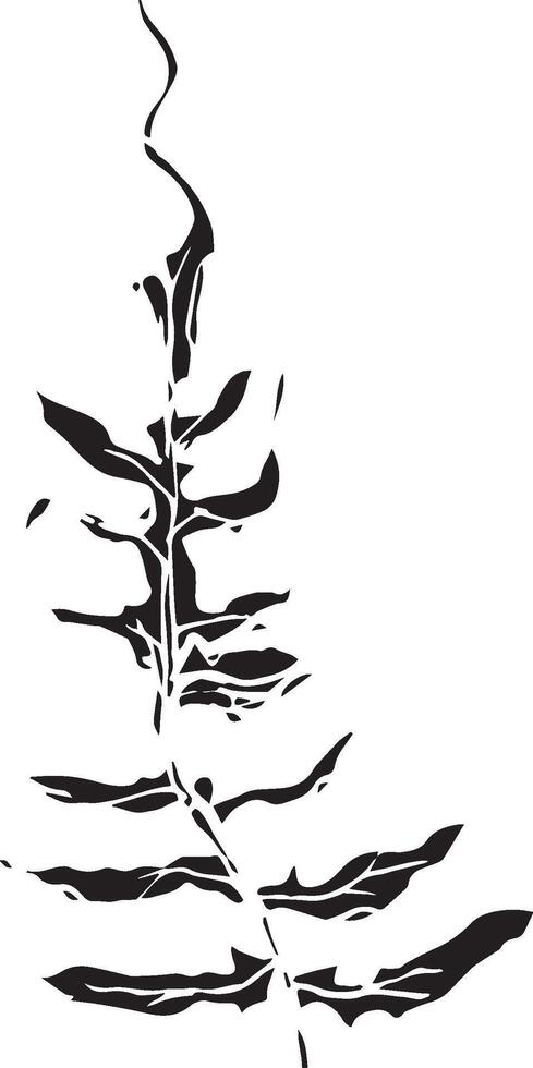 Sketch drawing of a fern in black and white outline. Vintage fern, great design for any purposes. vector