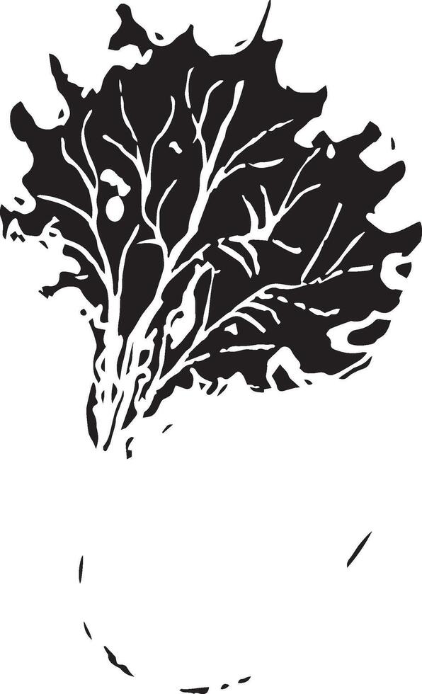 Hand drawn black leaves. Vintage leaf, great design for any purposes. vector