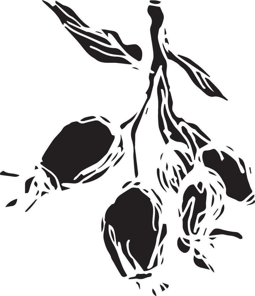 Hand drawn black rosehip. Vintage rosehip, great design for any purposes. vector