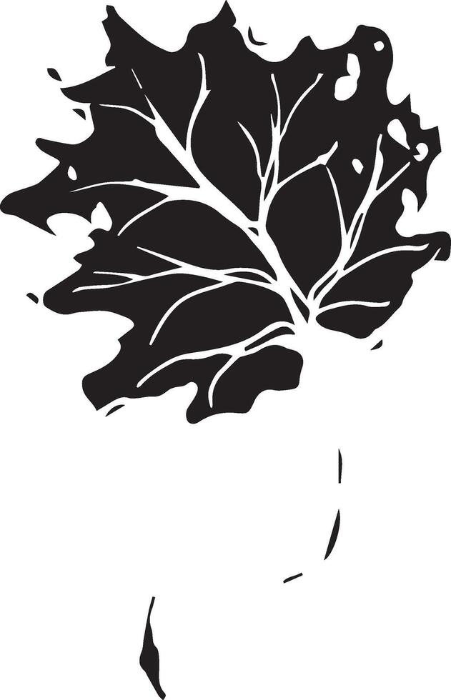 Hand drawn black leaves. Vintage leaf, great design for any purposes. vector