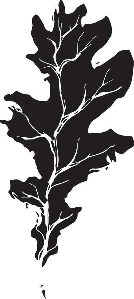 Sketch drawing of a oak leaf in black and white outline. Vintage oak, great design for any purposes. vector