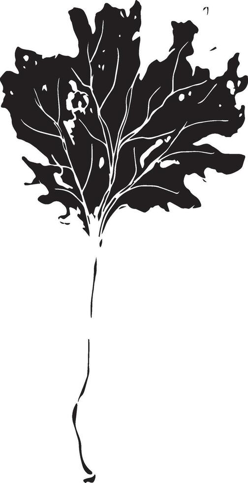 Hand drawn black leaves. Vintage leaf, great design for any purposes. vector