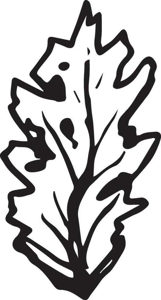 Hand drawn black leaves. Vintage leaf, great design for any purposes. vector