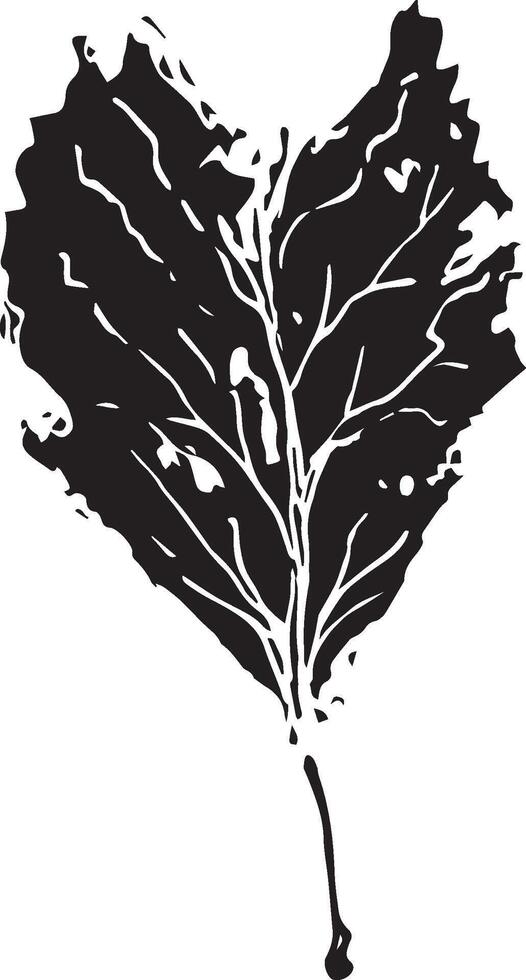 Hand drawn black leaves. Vintage leaf, great design for any purposes. vector