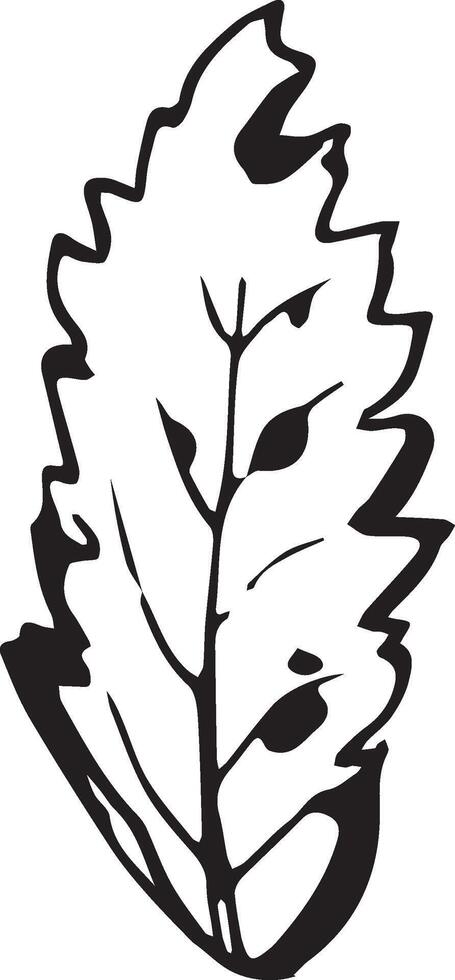 Rowan in hand drawn style on black background. Vintage line art closeup. vector