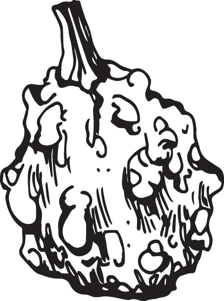 Hand drawn pumpkin for decorative design. Vintage pumpkin. vector