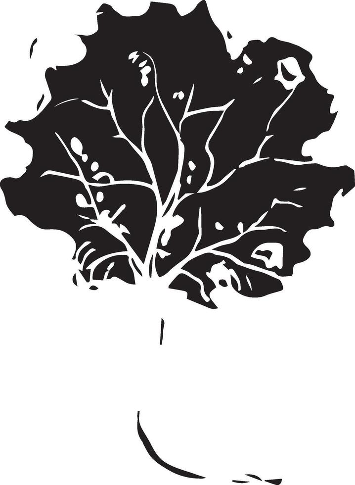 Hand drawn black leaves. Vintage leaf, great design for any purposes. vector