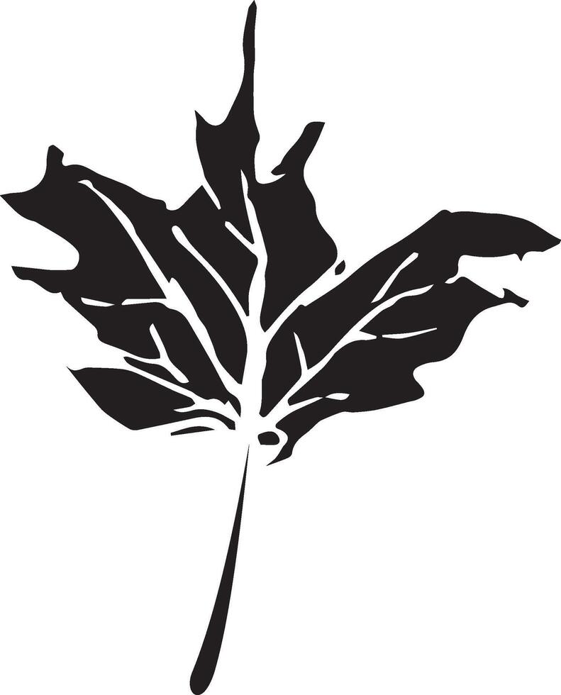 Sketch drawing of a maple leaf in black and white outline. Vintage maple, great design for any purposes. vector