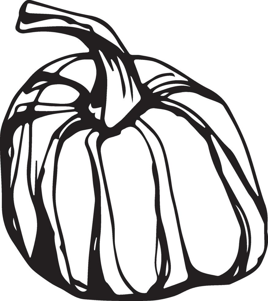 mano dibujado calabaza para decorativo diseño. Clásico calabaza. vector