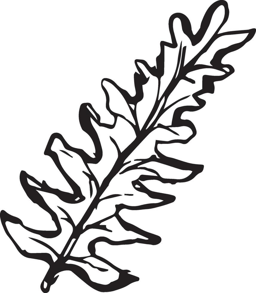 Sketch drawing of a fern in black and white outline. Vintage fern, great design for any purposes. vector