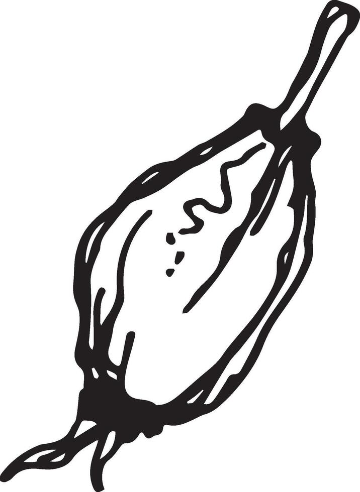 Hand drawn black rosehip. Vintage rosehip, great design for any purposes. vector