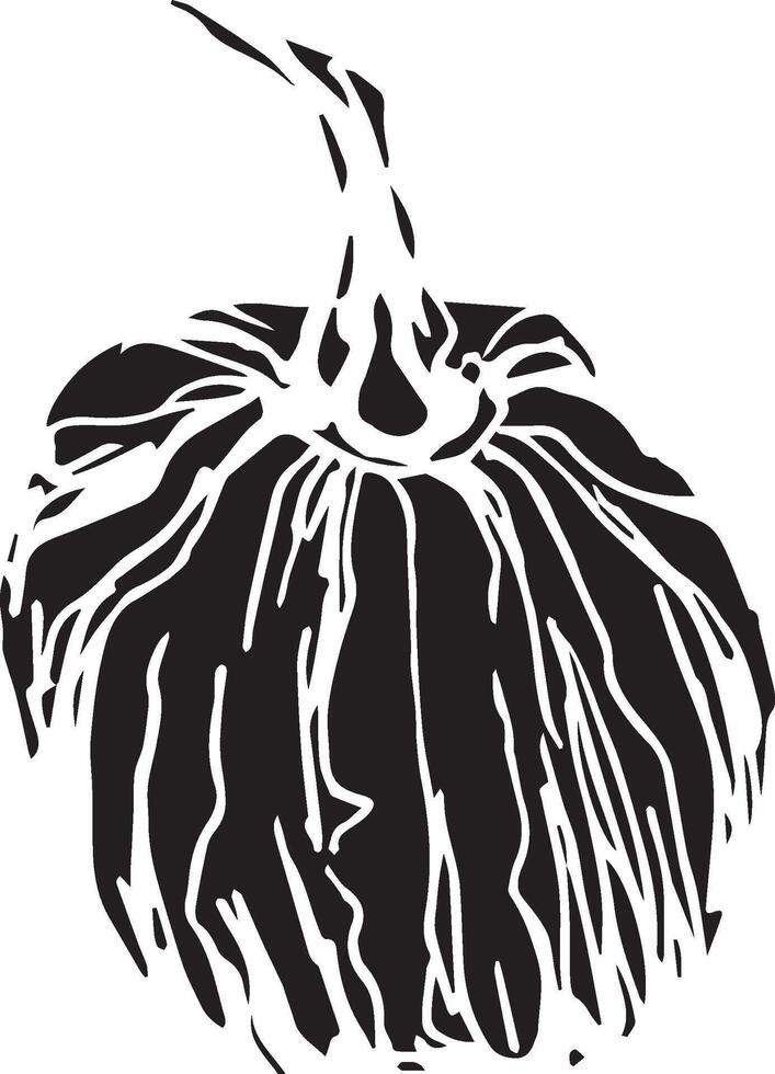 Hand drawn pumpkin for decorative design. Vintage pumpkin. vector