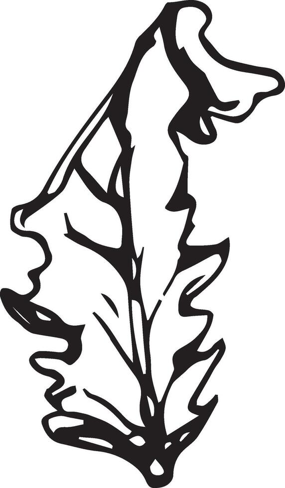 Hand drawn black leaves. Vintage leaf, great design for any purposes. vector