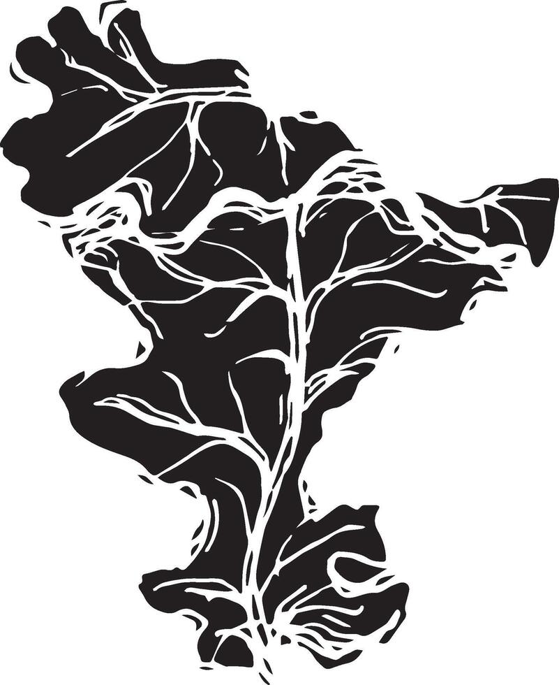 Sketch drawing of a oak leaf in black and white outline. Vintage oak, great design for any purposes. vector