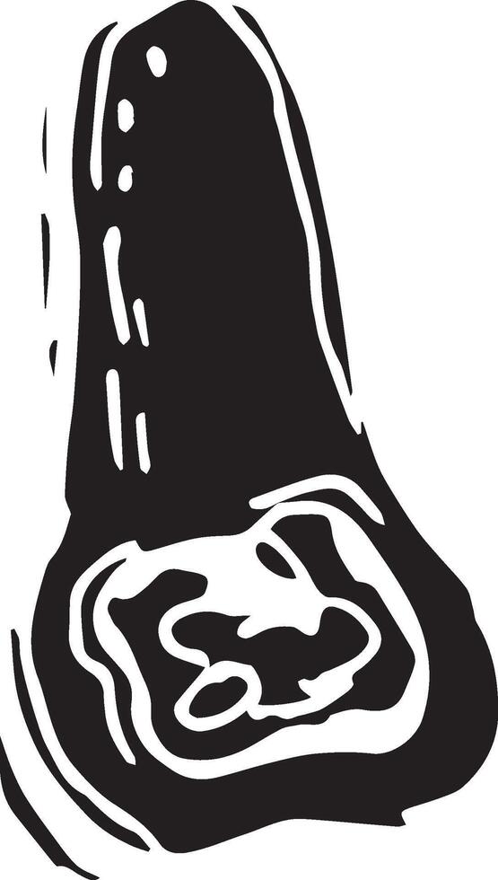 Hand drawn pumpkin for decorative design. Vintage pumpkin. vector