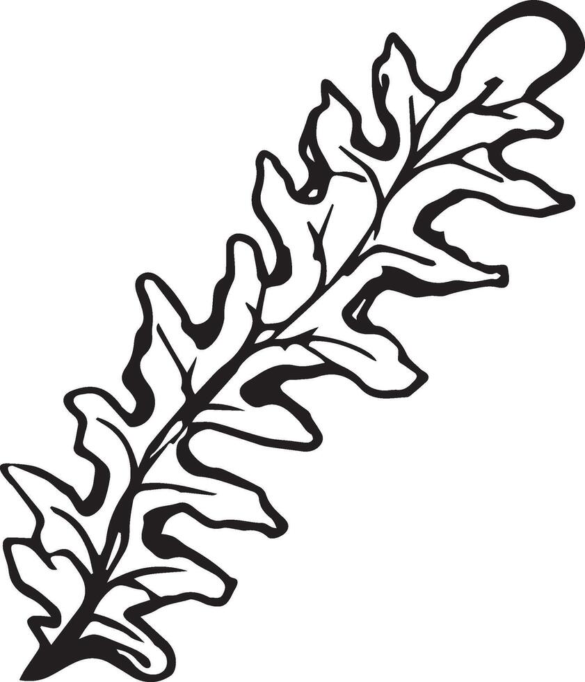 Sketch drawing of a fern in black and white outline. Vintage fern, great design for any purposes. vector