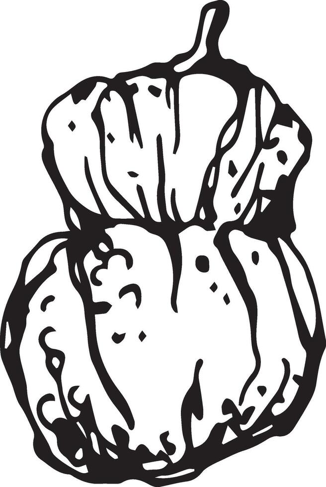 Hand drawn pumpkin for decorative design. Vintage pumpkin. vector