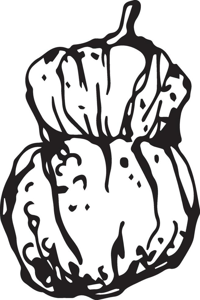 mano dibujado calabaza para decorativo diseño. Clásico calabaza. vector