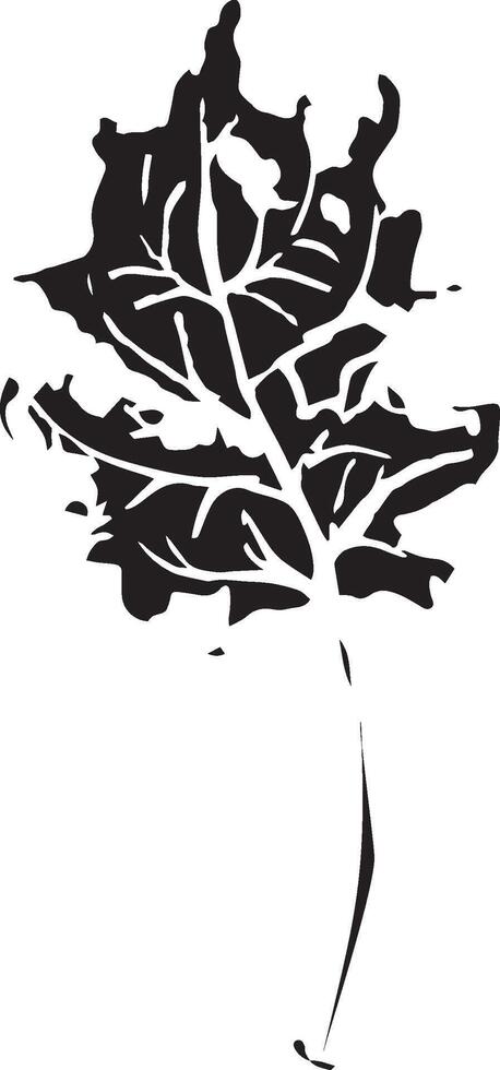 Hand drawn black leaves. Vintage leaf, great design for any purposes. vector